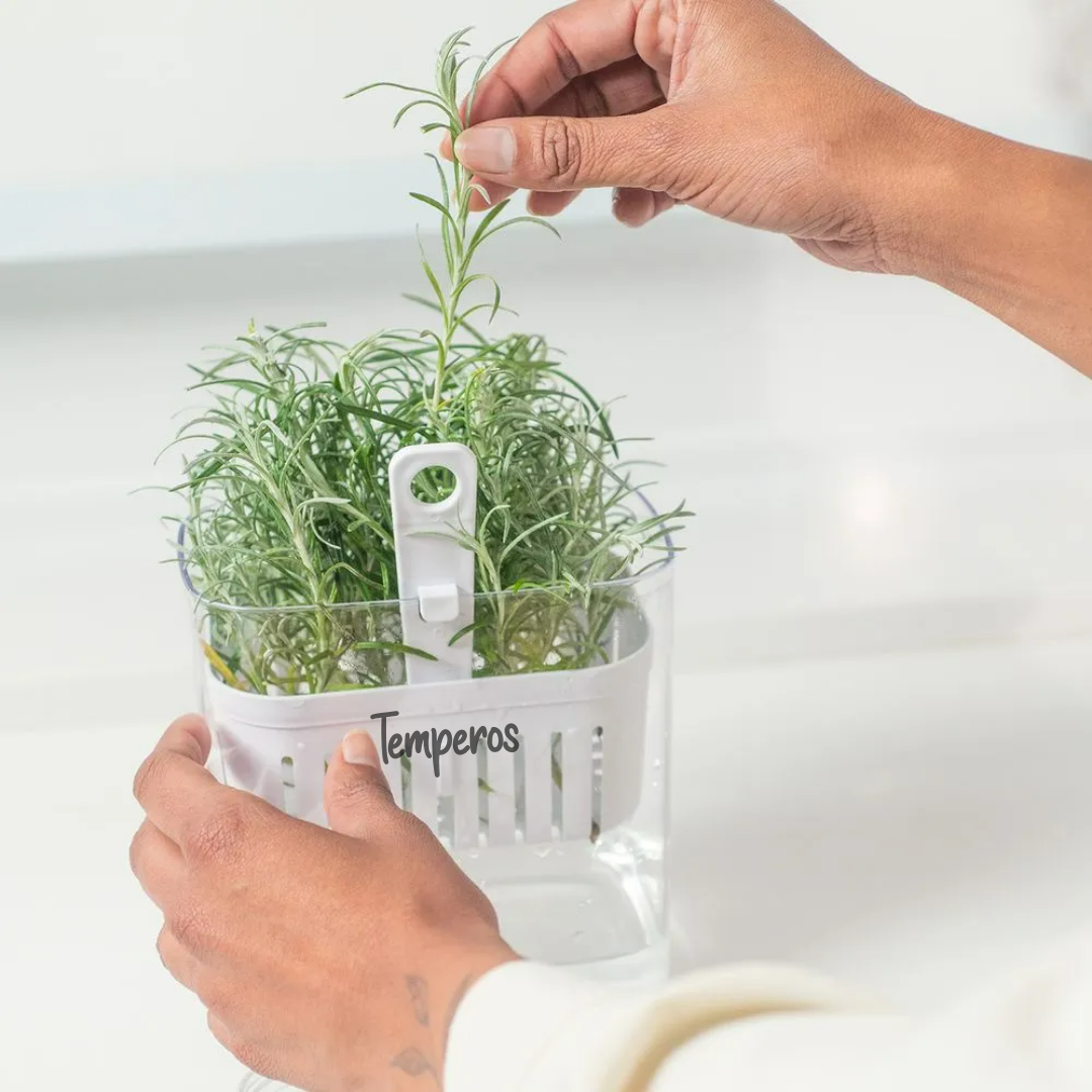 Organizador de Temperos Clear Fresh